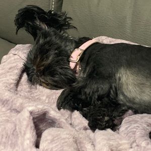 Meet your Posher, Tami